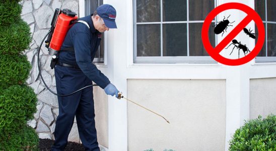 Mucur Kene İlaçlama böcek ilaçlama ve haşere kontrolü — ilaclama-tr.com